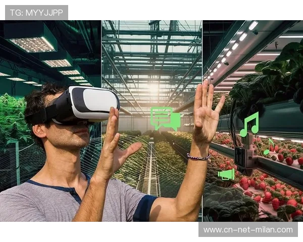 【科技创新助力观赛体验】虚拟现实带你身临其境，科技创新大赛的观后感